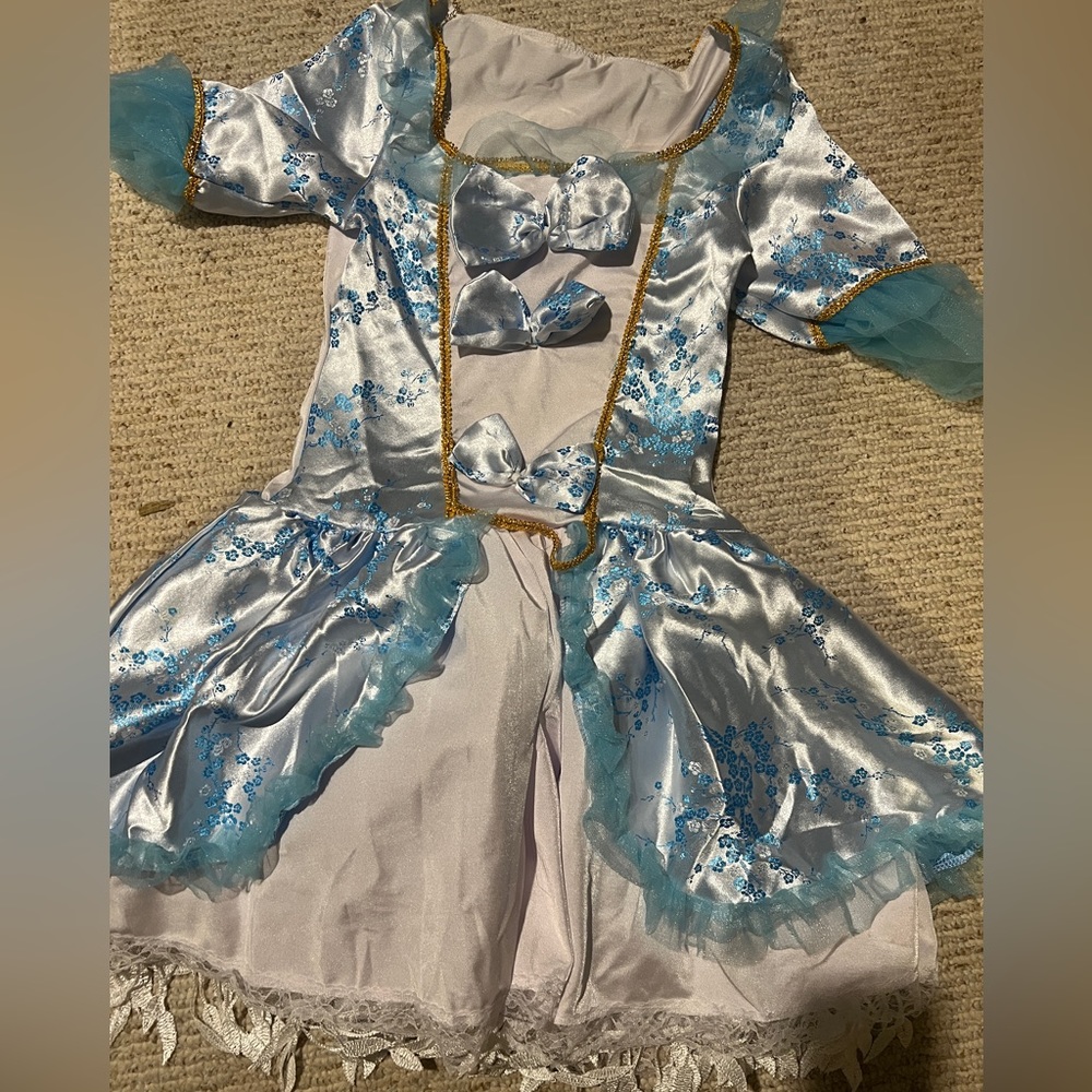 - Marie Antoinette costume - Picture 2 of 8